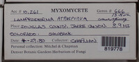 Image Associated With the Occurence